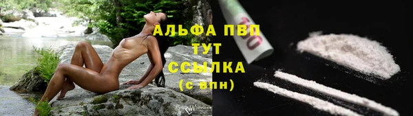 a pvp Бородино