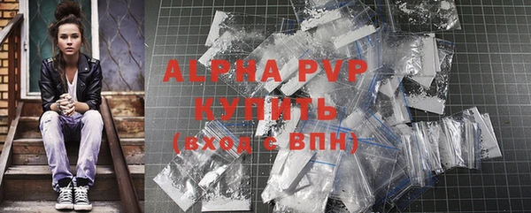 a pvp Бородино