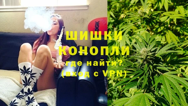 a pvp Бородино