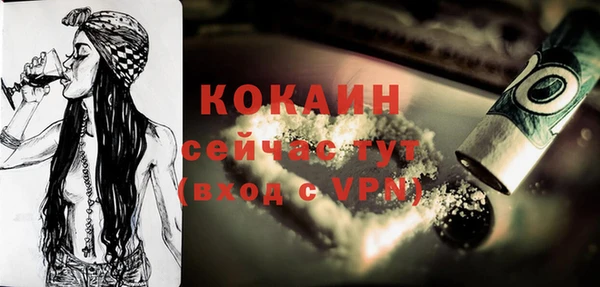 стафф Ростов