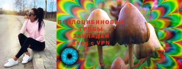 a pvp Бородино