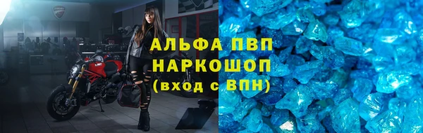 a pvp Бородино